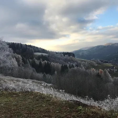 Im Haus Holzmann Am Gmundnerberg Séjour chez l'habitant Altmünster