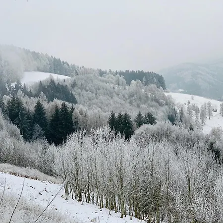 Im Haus Holzmann Am Gmundnerberg
