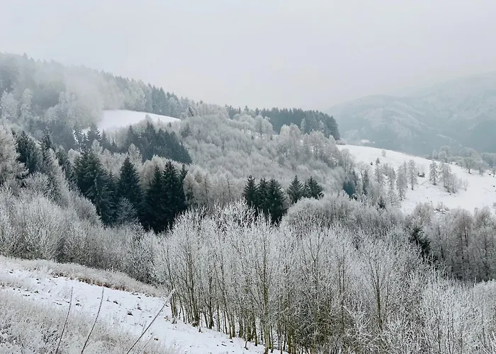 Im Haus Holzmann Am Gmundnerberg