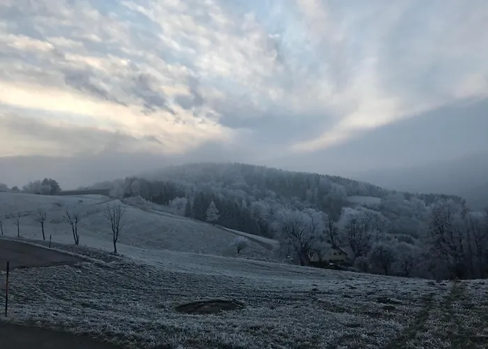 Δωμάτια σε οικογενειακή κατοικία Im Haus Holzmann Am Gmundnerberg