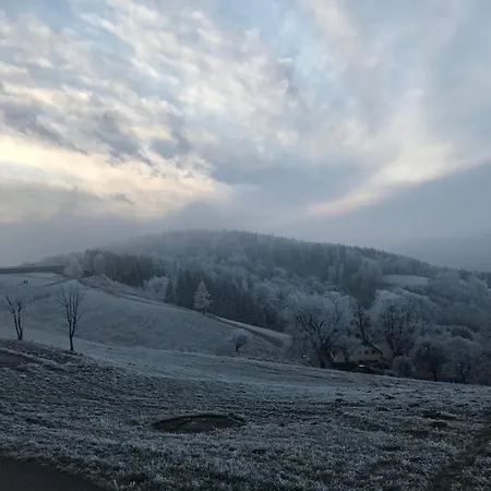 Pansiyon Im Haus Holzmann Am Gmundnerberg