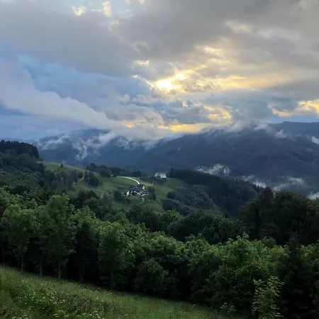 Im Haus Holzmann Am Gmundnerberg Pansiyon Altmünster