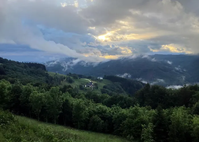 Im Haus Holzmann Am Gmundnerberg Pansiyon Altmünster